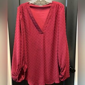 Burgundy sheer sleeve top